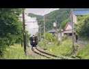 SLパレオエクスプレス 三峰口行き　上長瀞駅近くの散策路にて