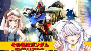 その名はガンダム（METAL BUILD ストライクガンダムれびゅーという名の茶番）
