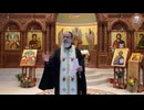 Why should we remember the First Ecumenical Council - Sermon by Fr. Panayiotis Papageorgiou, Ph.D.