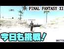 【FF11】あと１部位でついにアンバス防具から卒業！気合の女神連戦！＿＿カッパのヴァナ・ディール生活