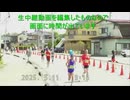 2025・鹿沼さつきマラソン（5キロの部残り1.5km付近）