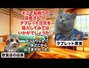 【タブレット注文】導入してから売上が激減！？客離れを加速させる注文システムの意外な落とし穴 #猫マニ #猫ミーム