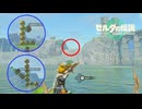 【ティアキン】ごっつんこ＆狙いをさだめて（設置からver）