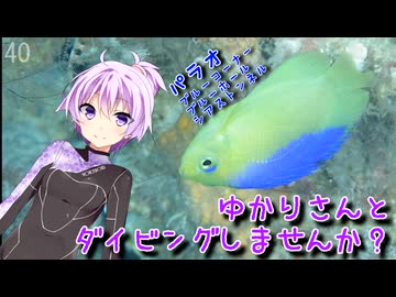 【パラオ】ゆかりさんとダイビングしませんか？