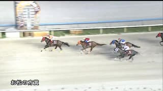 第6回お松の方賞（東海・北陸交流） ハリウッドスマイル