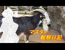 心筋梗塞マスター観察日記 25_19