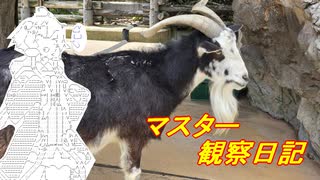 心筋梗塞マスター観察日記 25_19