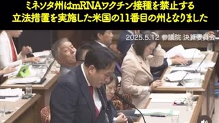 川田龍平議員「日本も、いい加減やめて頂きたいと思いますが大臣一言だけ！」25.5.12 参議院 決算委員会