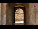 WHY SO FEW FIND THE NARROW WAY