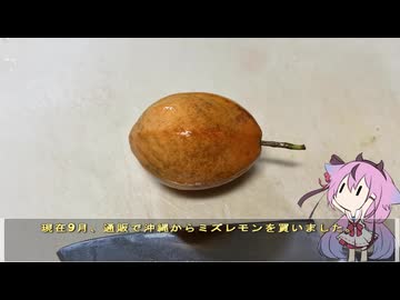 珍食材が食べたい！#215 ミズレモン