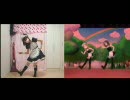 【支援動画】森のダンスパーティーを並べてみた【真昼】