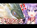 【番外編】ブリライスを解説します。ゆかりとあかり