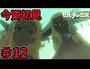 ゼルダの飛んだ先【ゼルダの伝説 ティアーズ オブ ザ キングダム】Part12