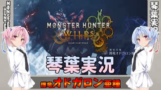 【モンハンワイルズ】護竜オドガロン亜種 part18【琴葉姉妹実況】