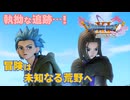 【＃9】初見ドラクエ11S実況プレイ【デルカダール神殿と新たな大地】