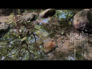 【朗読】蛙【VOICEVOX:WhiteCUL】