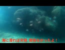 今日の旅動画 2025.5.13 die-go