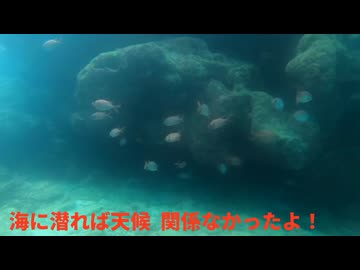 今日の旅動画 2025.5.13 die-go