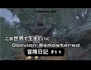 【Oblivion Remastered】のんびり冒険日記 #11 壊れないピックが必要だ！【実況動画】