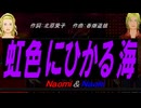 【Naomi＆Naoki】虹色にひかる海【カバー曲】