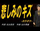 【ニコカラ】悲しみのキズ【off vocal】
