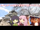 セイあか「大阪城と精華町で桜巡り！！」