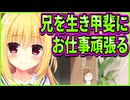 【ハミダシクリエイティブ】496　オタクが悲しい生き物だと気付いたけど妹がオタク想いの良い子でよかった