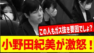 自民党・小野田紀美が叫ぶ！在留外国人問題の本質は「呼ぼうとする政治」だ！真の悪は誰だ！？