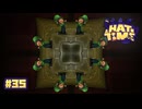 【A Hat in Time】誰かこのフィルターの使い方を教えてくれ〔#35〕