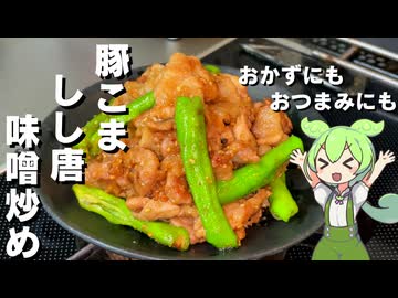 【簡単に作れる！】豚こまとしし唐の味噌炒め作ってみた【今日のおつまみ】