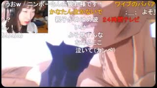 【かなた】ドラゴンボールZカカロットで屈指の名シーン、親子かめはめ波で思わず涙を流す【ニコ生】