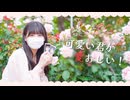 【ぬい】可愛い君が愛おしい！ 踊ってみた