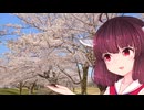 【きりたん動画17話】きりたんと一緒にお花見する話