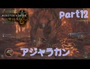 【独り言実況】ゲーム内方向音痴はもう喘がない？？モンハンワイルズ【Part12】