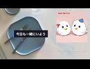 今日も一緒にいよう/宮舞モカ【SynthesizerV】【オリジナル】