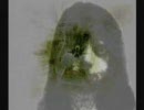 零～月蝕の仮面～やせ我慢実況プレイその８　【アップルパイ】