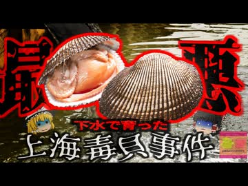 【1988年】史上最大の中毒事件『下水赤貝』で30万人が肝炎に感染 47名が亡くなる大惨事に…【ゆっくり解説】