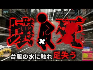 【2011年】『庭がめちゃくちゃだ...片付けないと』→土壌の細菌が傷口に侵入し足が壊＊ 台風・竜巻の意外な恐ろしさ【ゆっくり解説】
