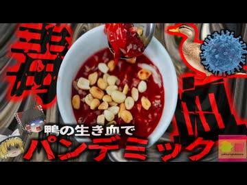 【2005年】『ウイルス汚染された鴨の血飲んで＊亡』鳥インフルエンザ大流行で4000万羽が処分 人間にも感染し約50名が亡くなる…経済損失は100億ドル以上にも【ゆっくり解説】
