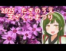 【芝ざくら】東北ずん子と滝上町　芝ざくらまつり