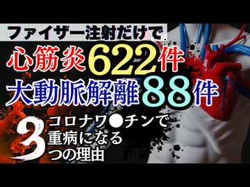 心筋炎622件,心肺停止408件,大動脈解離88件,ファイザーだけでこれ！なぜワクチンを疑わない？スパイ クもDNA汚染もLNPシステムも全部大問題！地獄すぎる副反応疑い報告から目を逸らしてはいけない