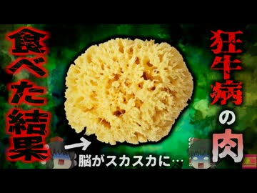 【1995年】『脳がスポンジになる禁断の食材』　加熱してもほぼ不活性化されない恐ろしい感染症 「変異型クロイツフェルト・ヤコブ病」【ゆっくり解説】きめぇ丸解説