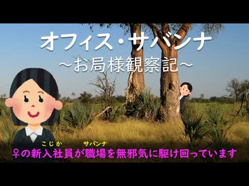 オフィス・サバンナ　～お局様観察記～