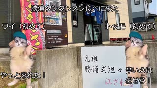 【勝浦タンタンメン】江ざわのチャーシュー担々麺を食べてみよう！【猫ミーム】