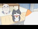 ねこに転生したおじさん　第31話　負けず嫌い