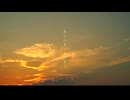 生きて会おう！　歌ってみた【黄】