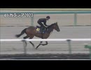 【2025 JRAブリーズアップセール】 騎乗供覧 第4鞍