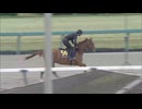 【2025 JRAブリーズアップセール】 騎乗供覧 第5鞍