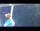 くらげ_回収