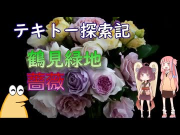 【photolog vlog】テキトー探索記 鶴見薔薇